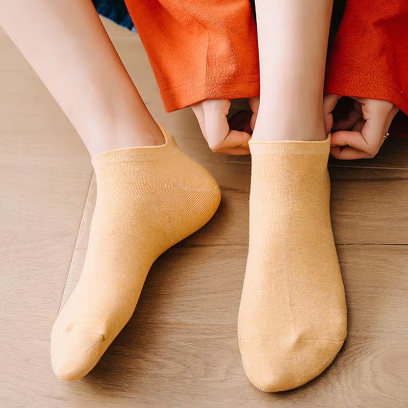 Cute Cat Embroidered Low-Cut Mesh Socks – 5 Pairs